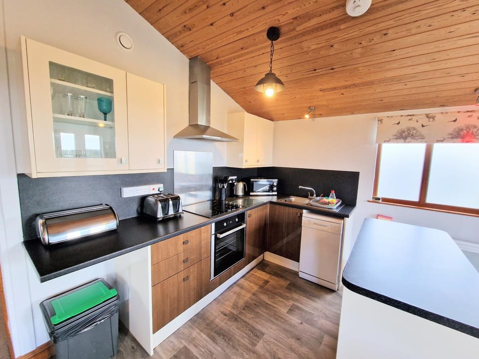 dishwasher, oven, stove, toaster