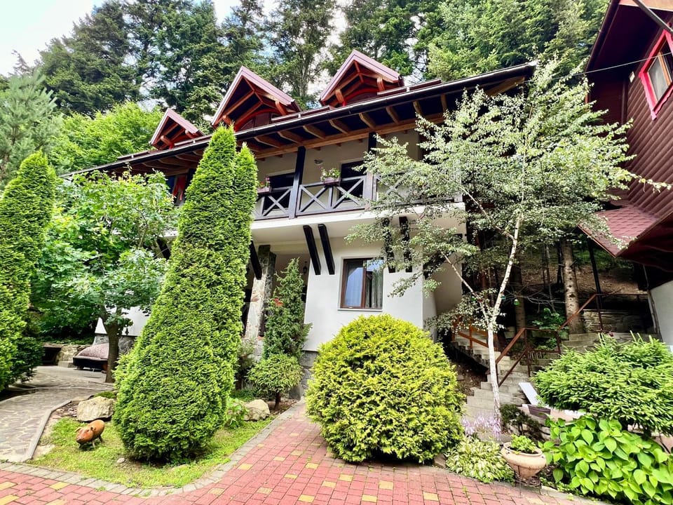 Вілла Лісова комфорт Apartment in Lviv Oblast
