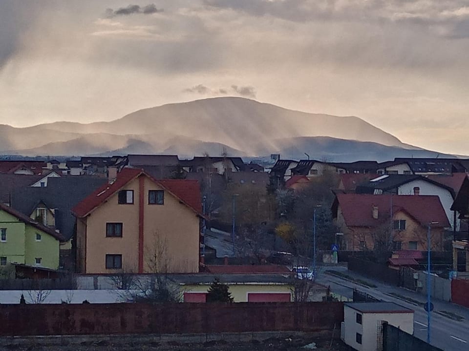 Casa Elena Apartment in Brasov