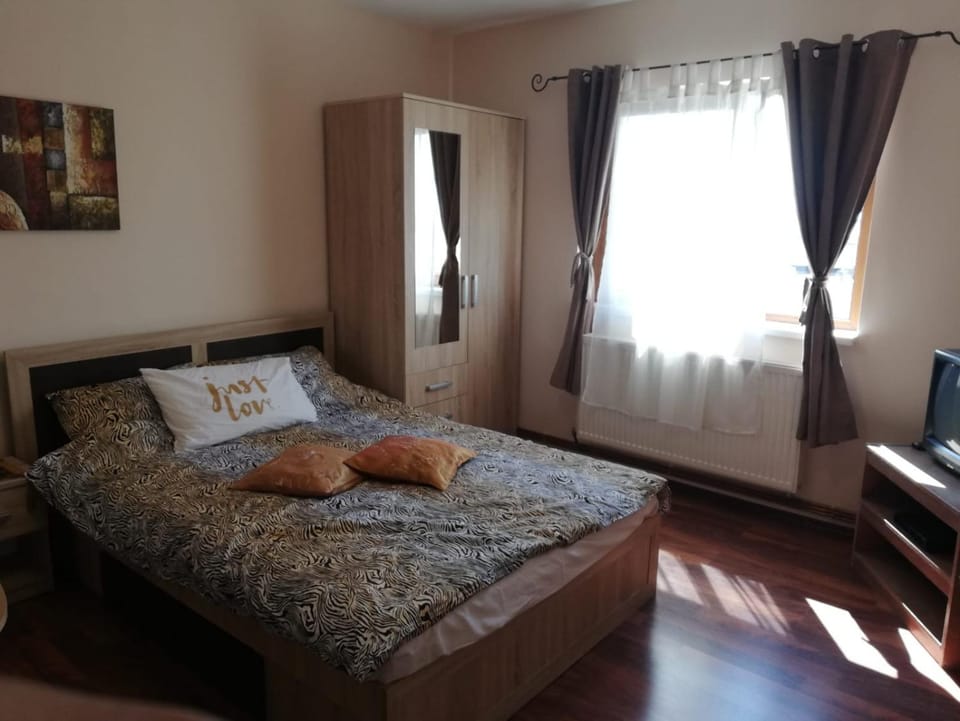 Casa Elena Apartment in Brasov