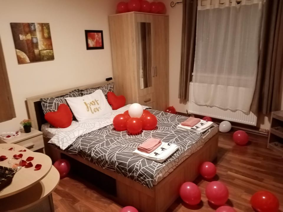 Casa Elena Apartment in Brasov