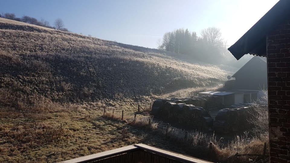 Natural landscape