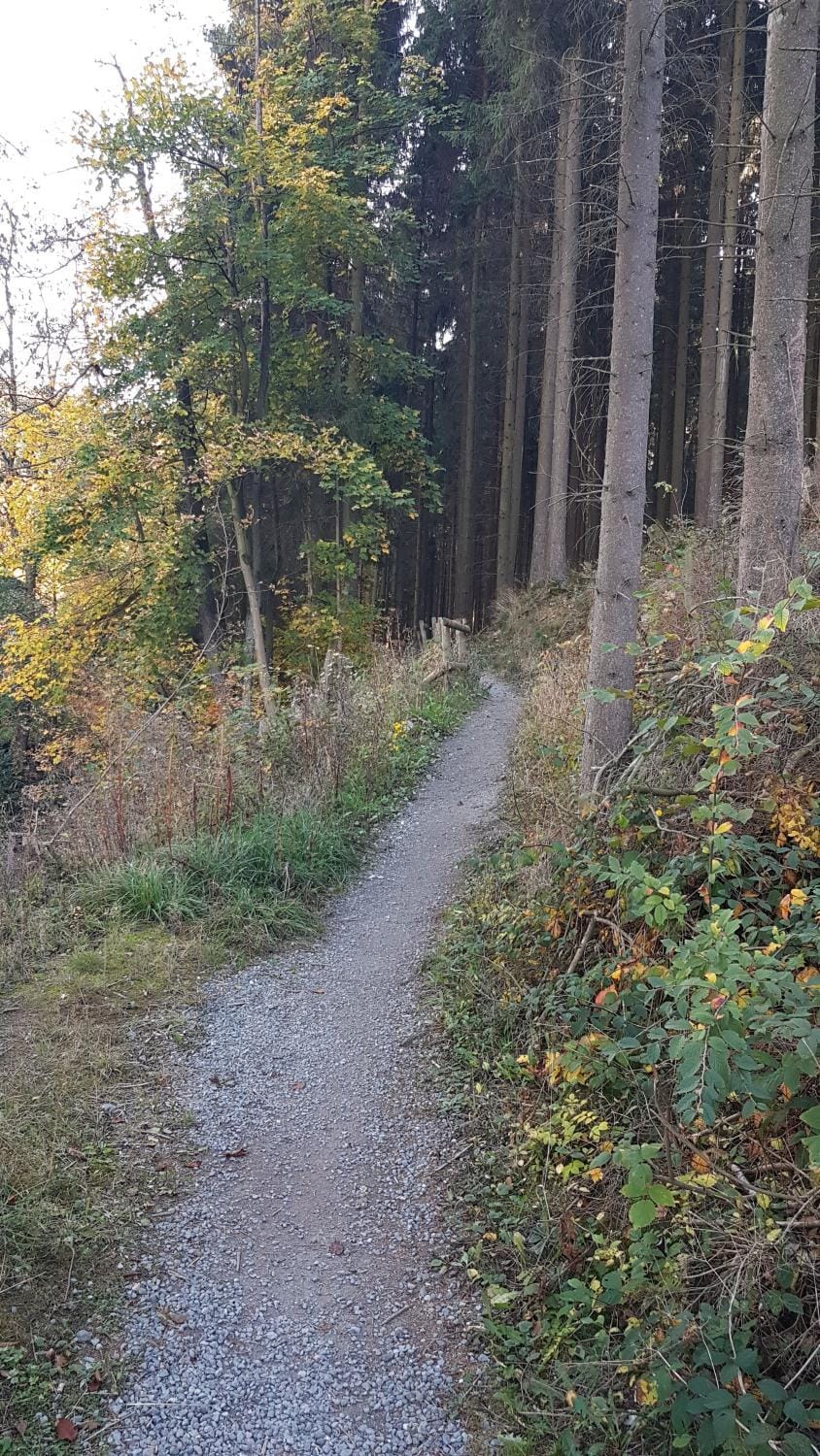Hiking