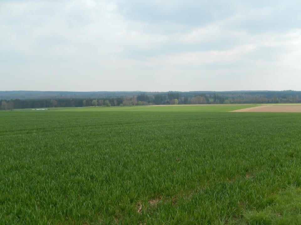 Natural landscape