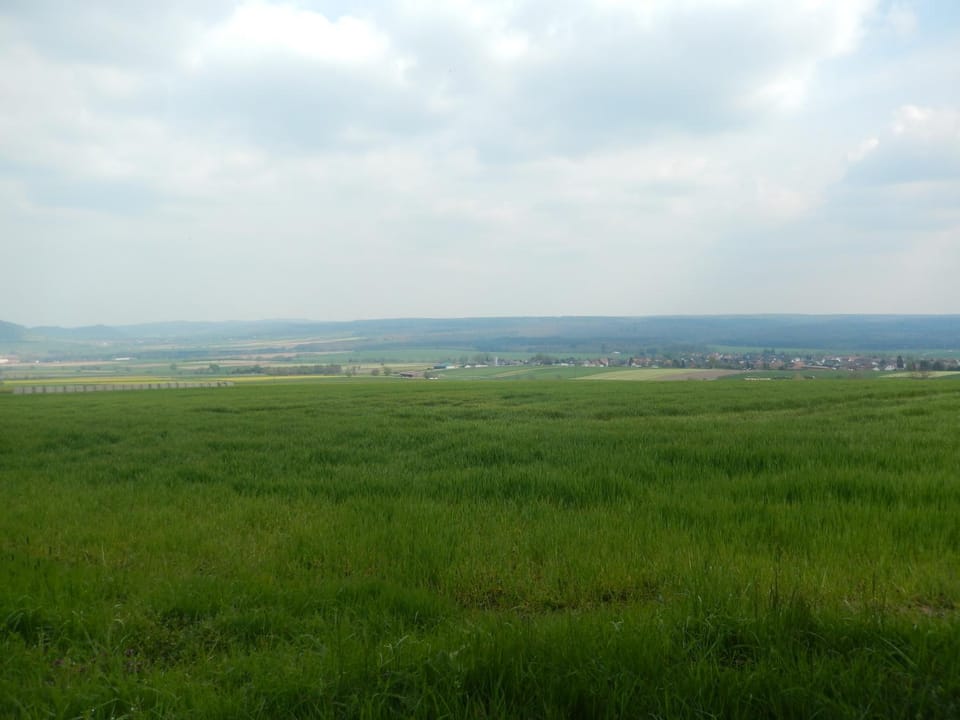 Natural landscape