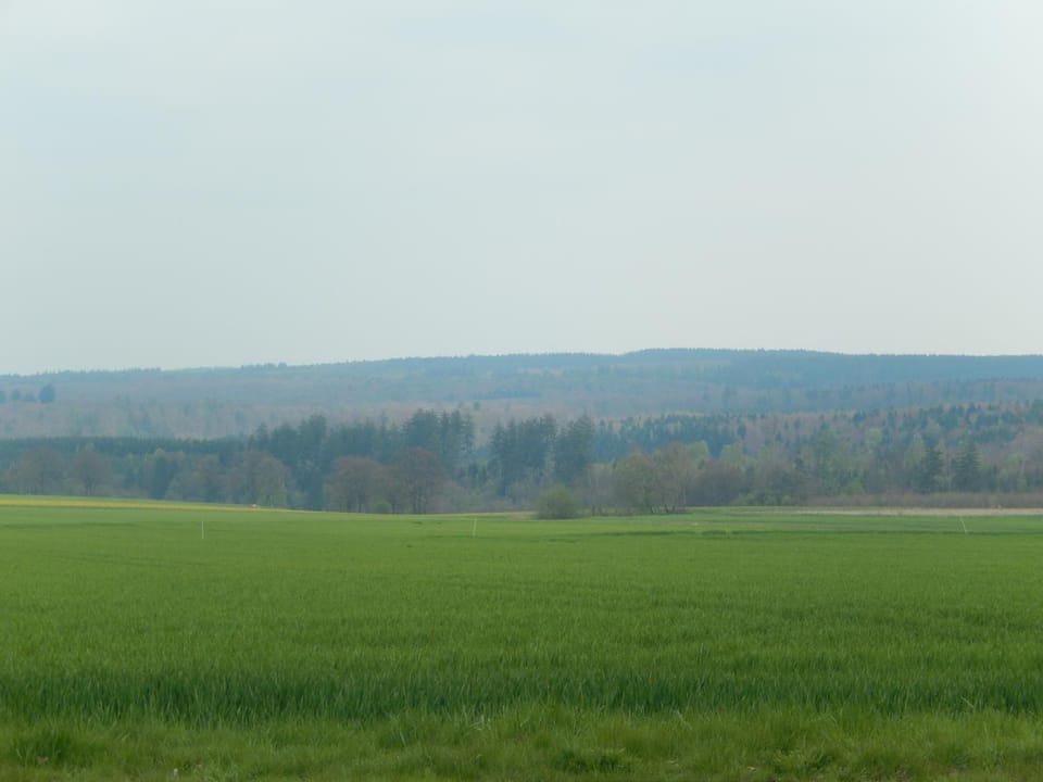 Natural landscape