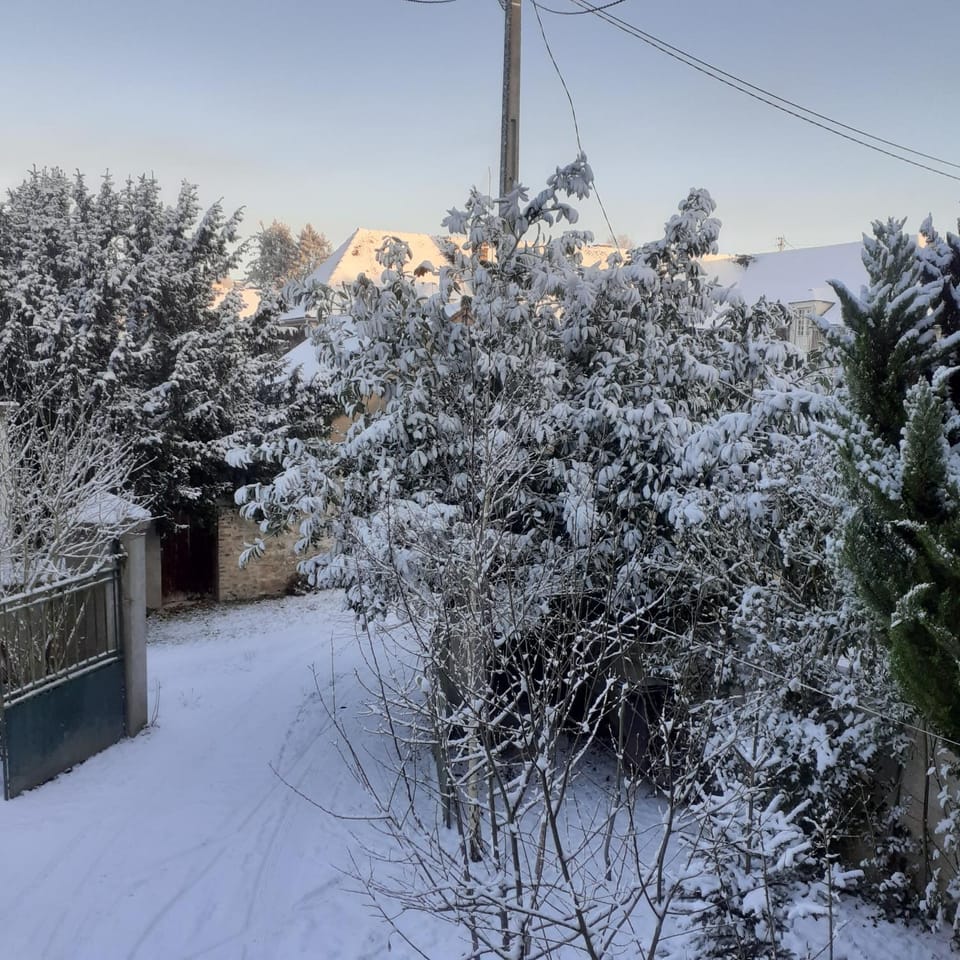 Winter