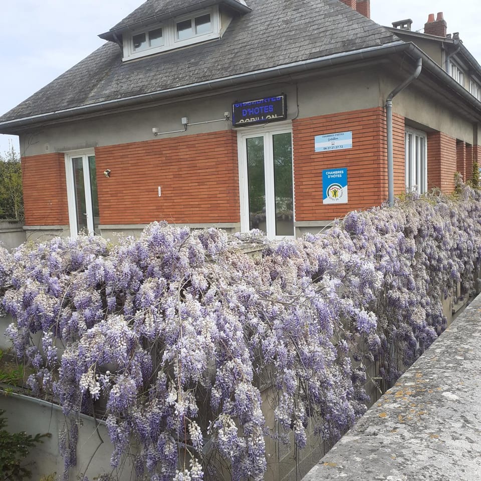 Chambres d'hôtes GOBILLON Bed and Breakfast in Centre-Val de Loire