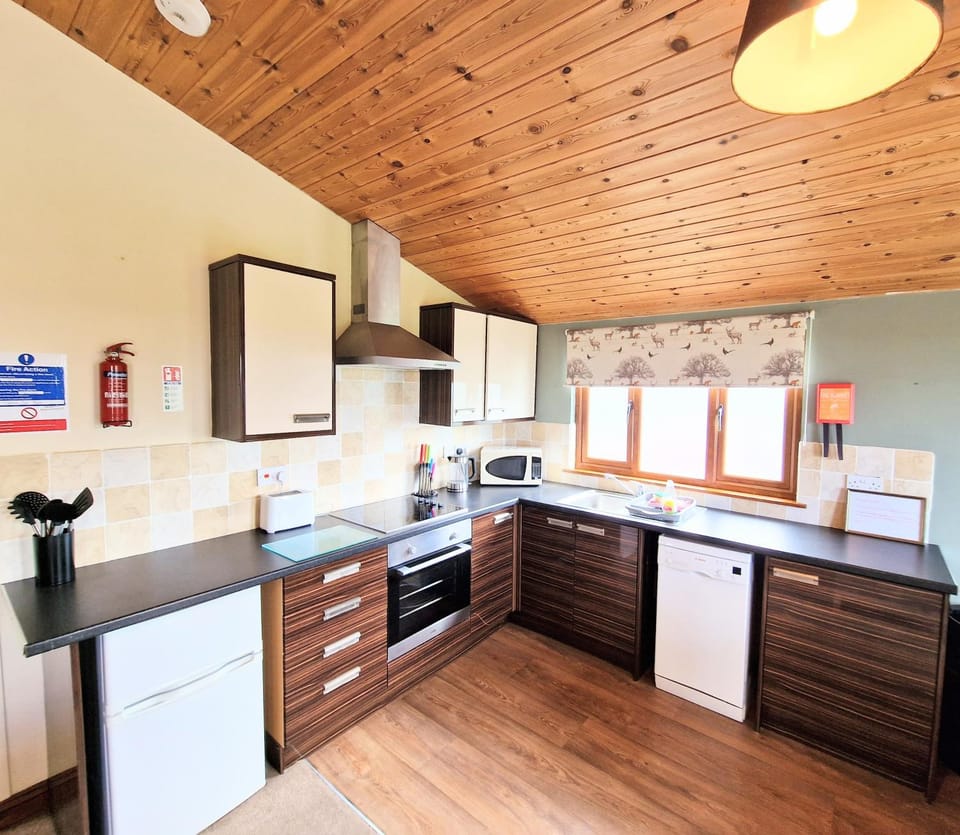 Kitchen or kitchenette, dishwasher, oven, stove, toaster
