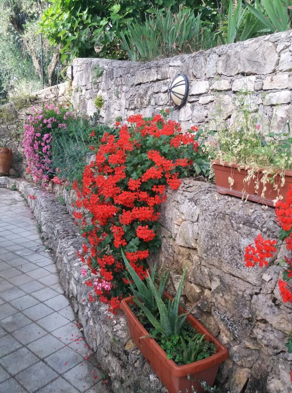 Patio, Garden