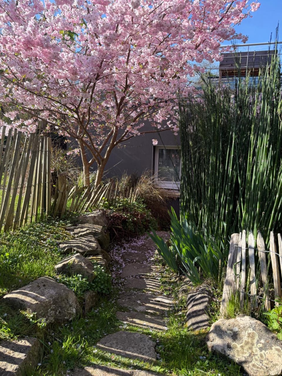 Rez de Jardin Terrasse Literie Haut de gamme Proche Gare et Hyper Centre Apartment in Quimper