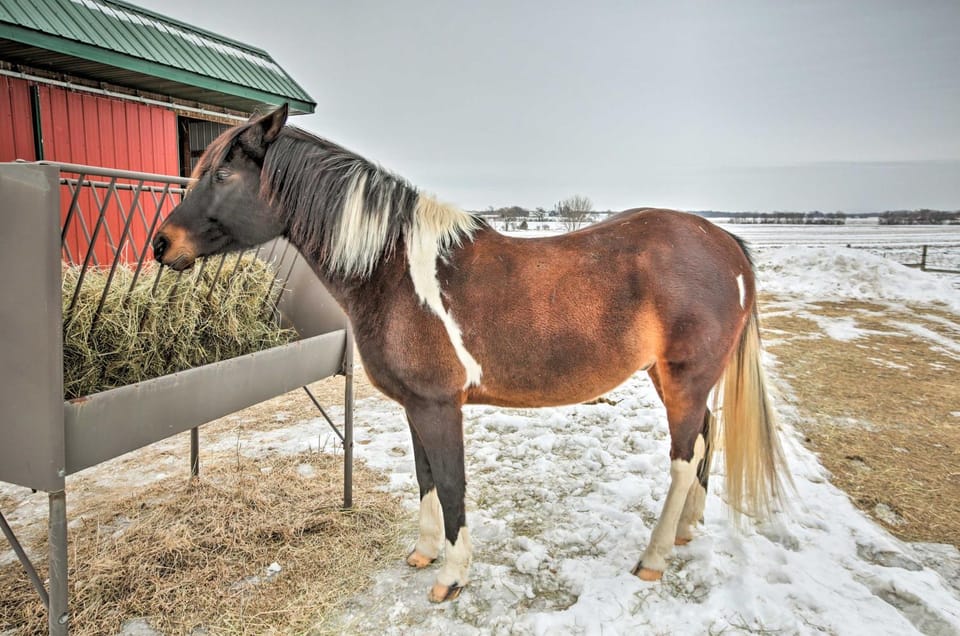 7-Acre Working Farm Near Lake Geneva: Pets Welcome House in Wisconsin