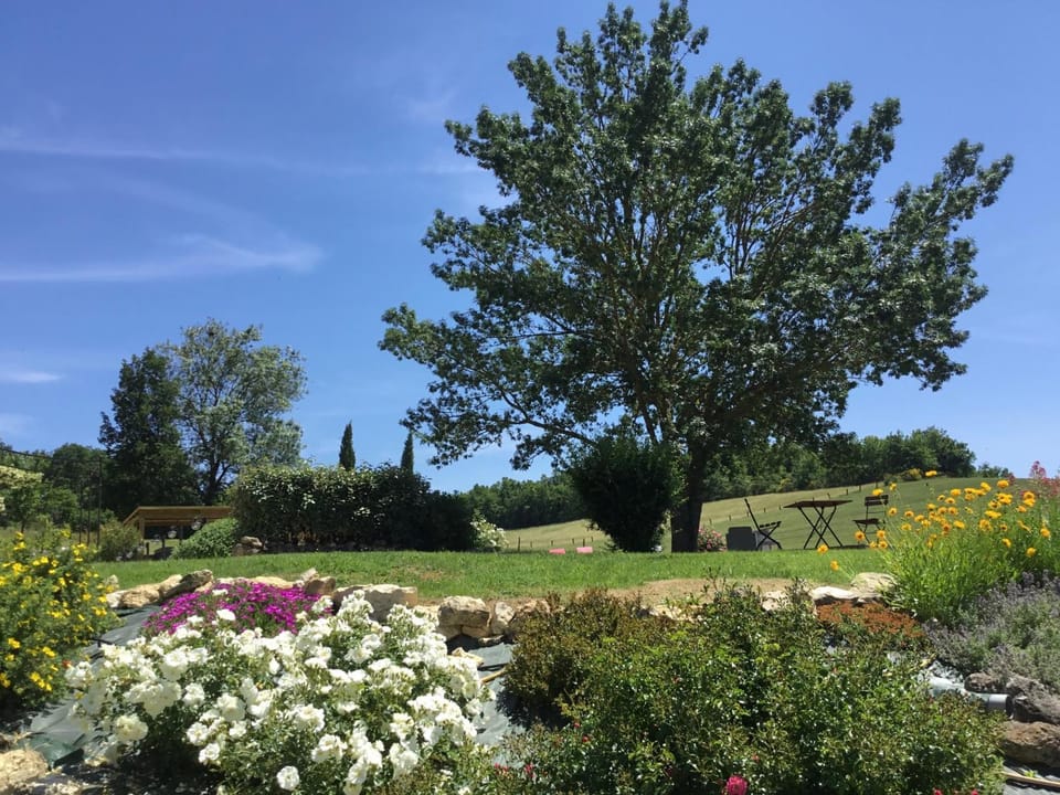 Garden, Garden view