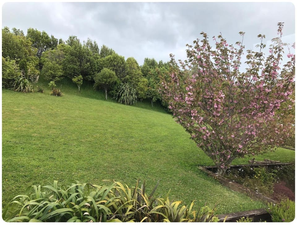 Garden, Garden view