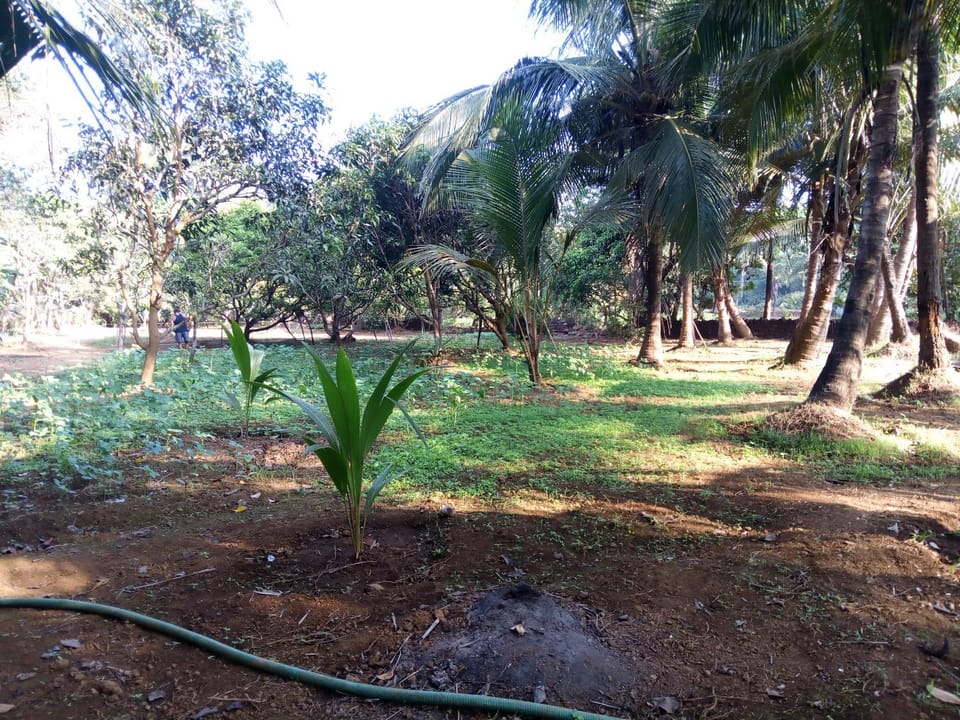 Natural landscape
