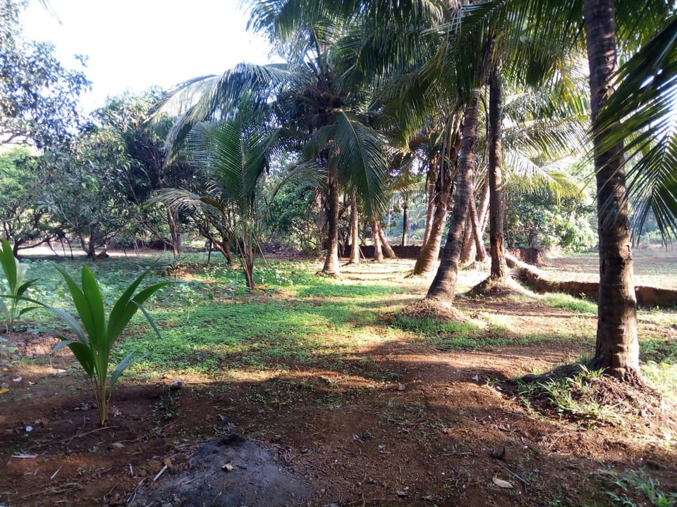 Natural landscape