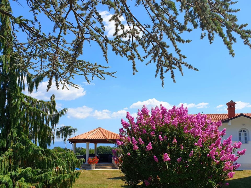 Holiday Apartment VILLA BIANCA Apartment in Istria County