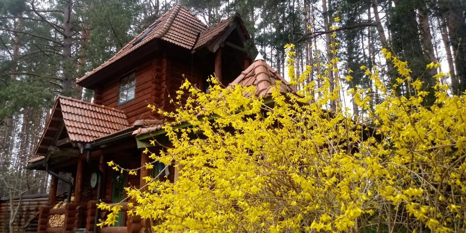 Property building, Garden