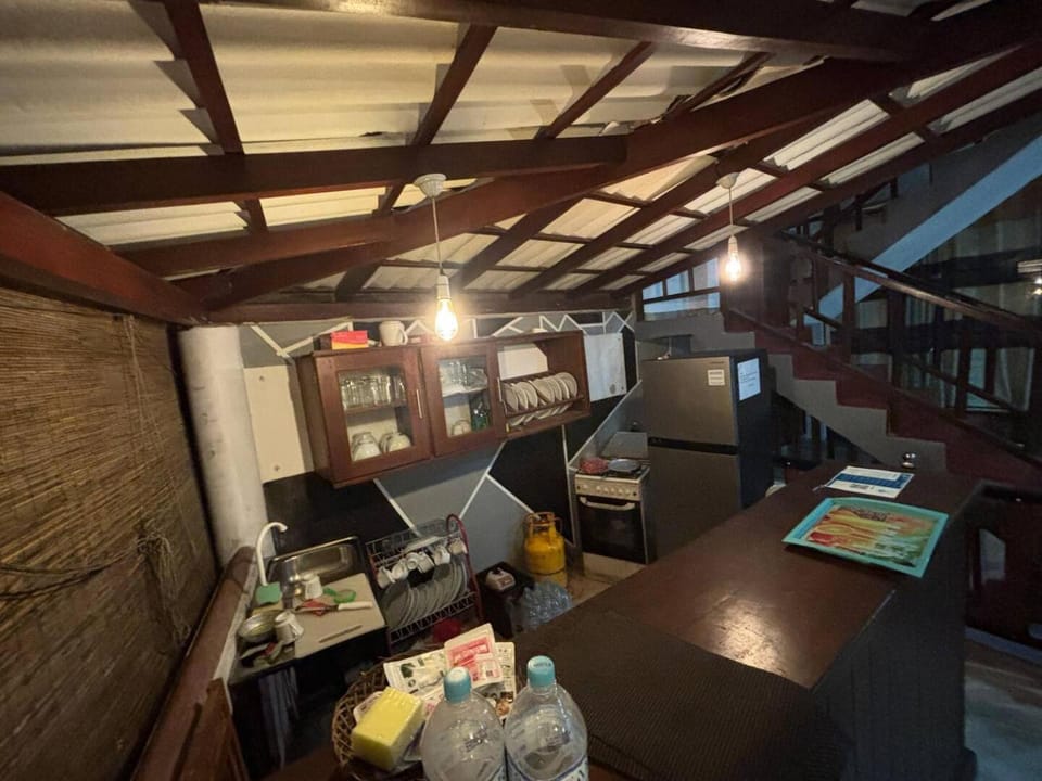 Kitchen or kitchenette, kitchen