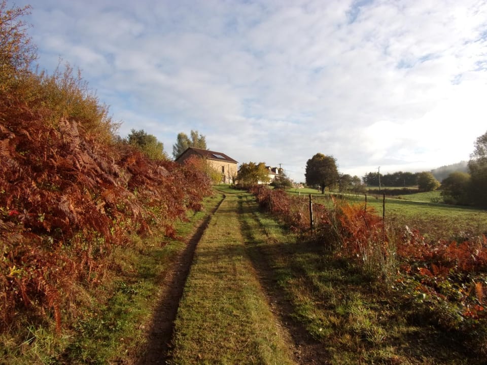 Property building, Garden, Autumn
