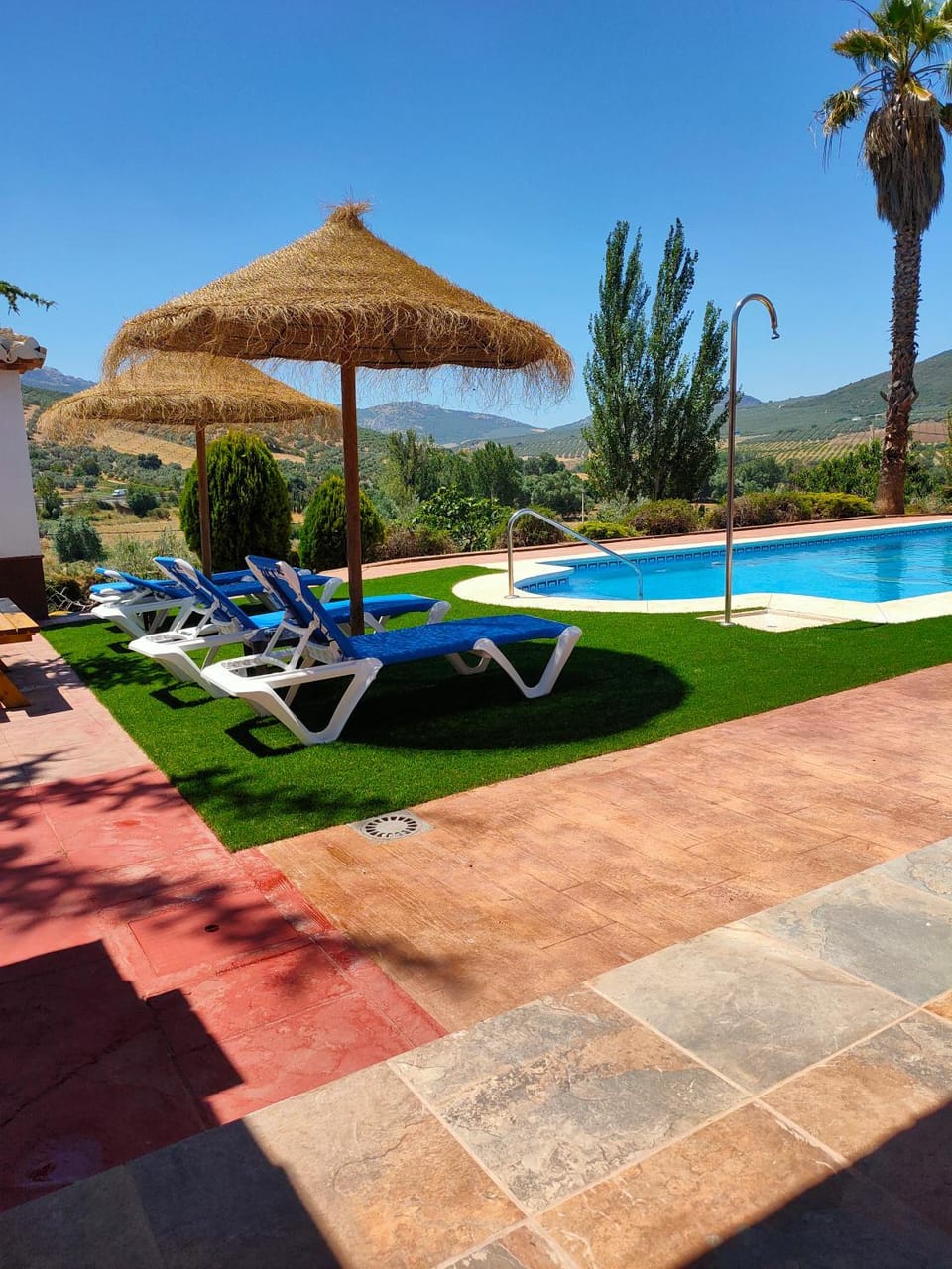 Natural landscape, Garden view, Swimming pool, sunbed