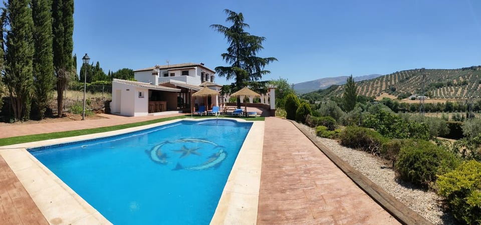 Swimming pool, sunbed