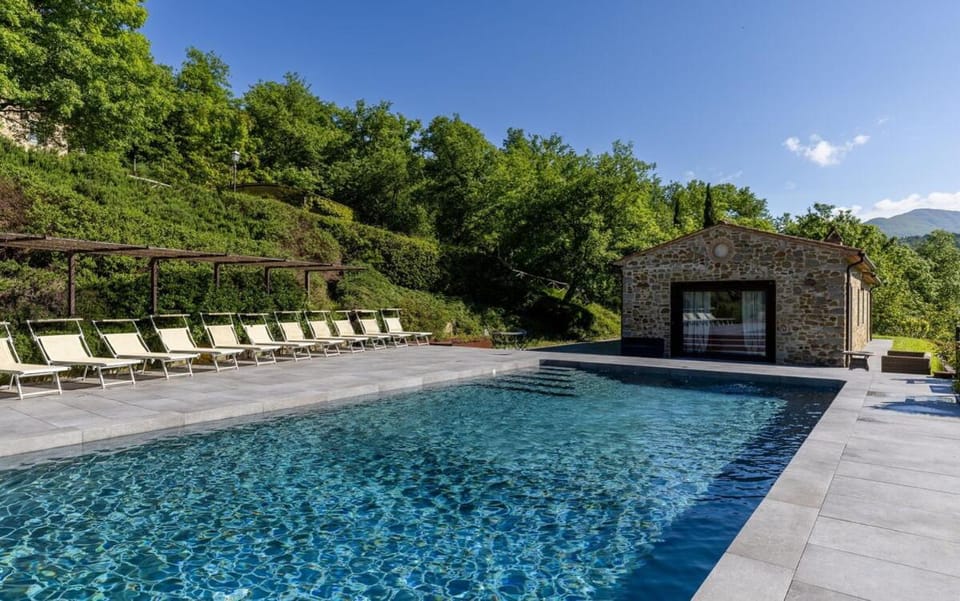 Garden, Pool view, Swimming pool, sunbed