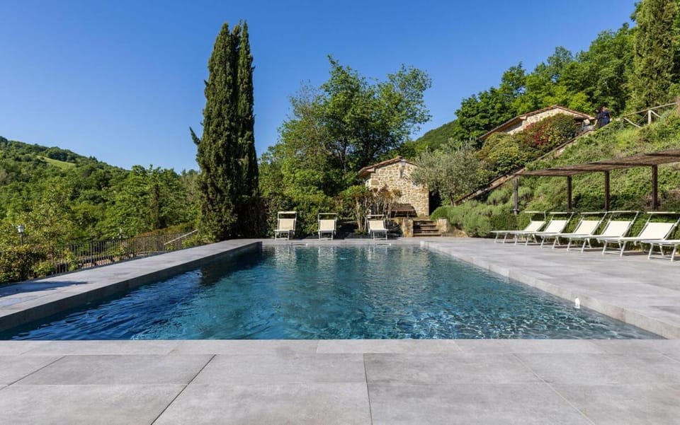 Garden, Garden view, Pool view, Swimming pool, sunbed