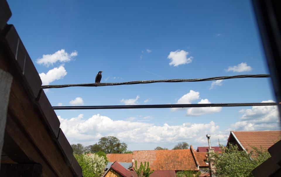 View (from property/room)