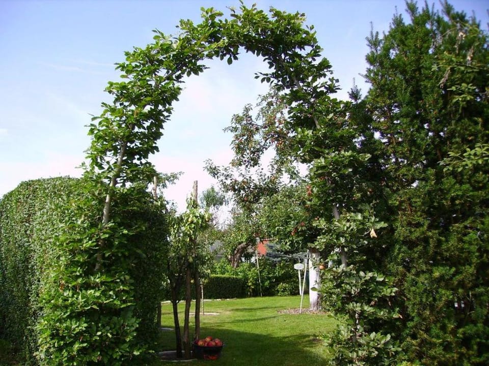Ferienhaus-Weitblick Apartment in Saxony