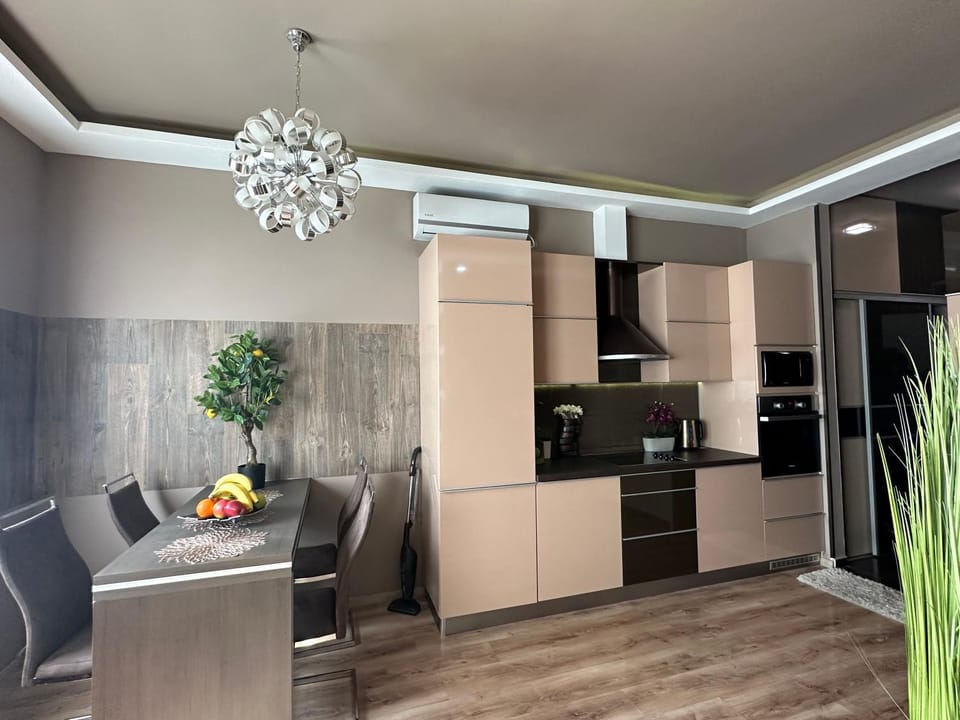 Kitchen or kitchenette, Living room, Photo of the whole room, Dining area, oven, stove