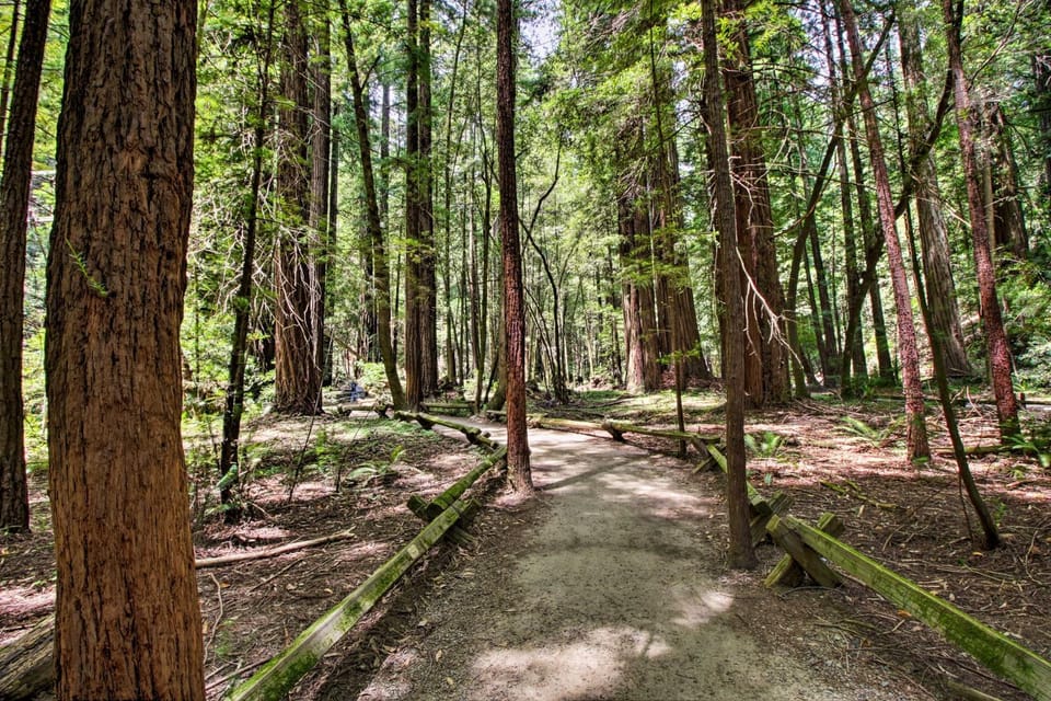 Guerneville Home - Walk to the Russian River! House in Guerneville
