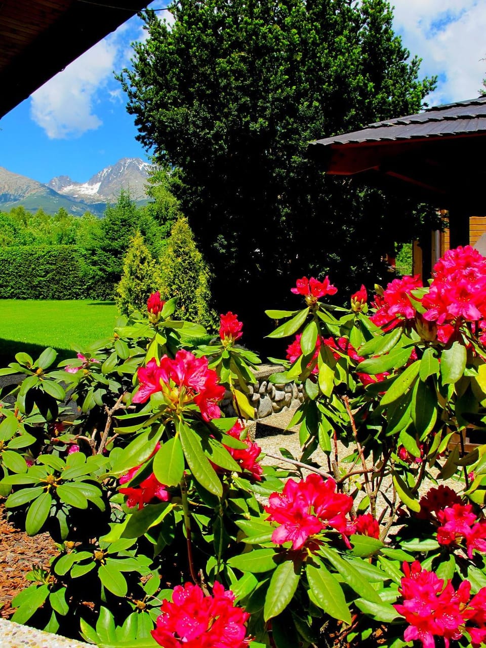 Spring, Day, Natural landscape, Garden, Garden view