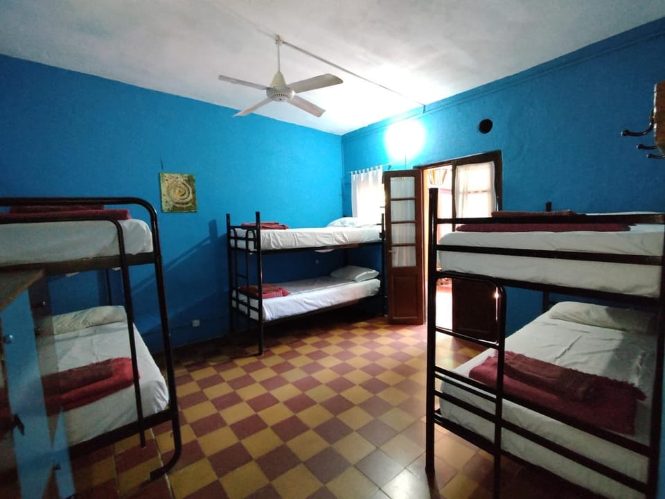 Bed, Photo of the whole room, Bedroom, bunk bed