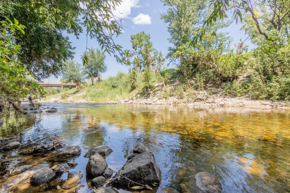 Natural landscape, Garden, Garden view, River view