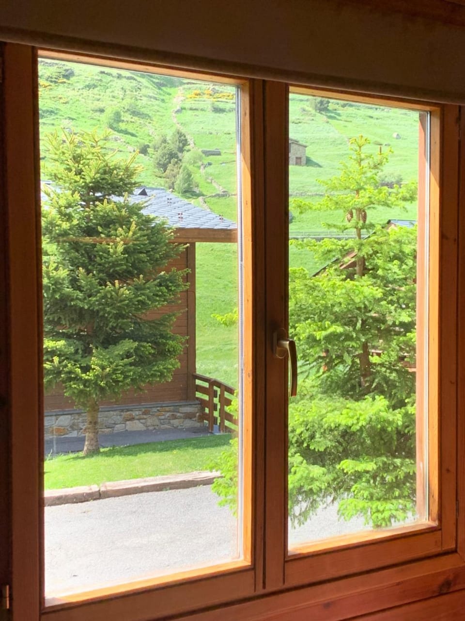 Mountain view