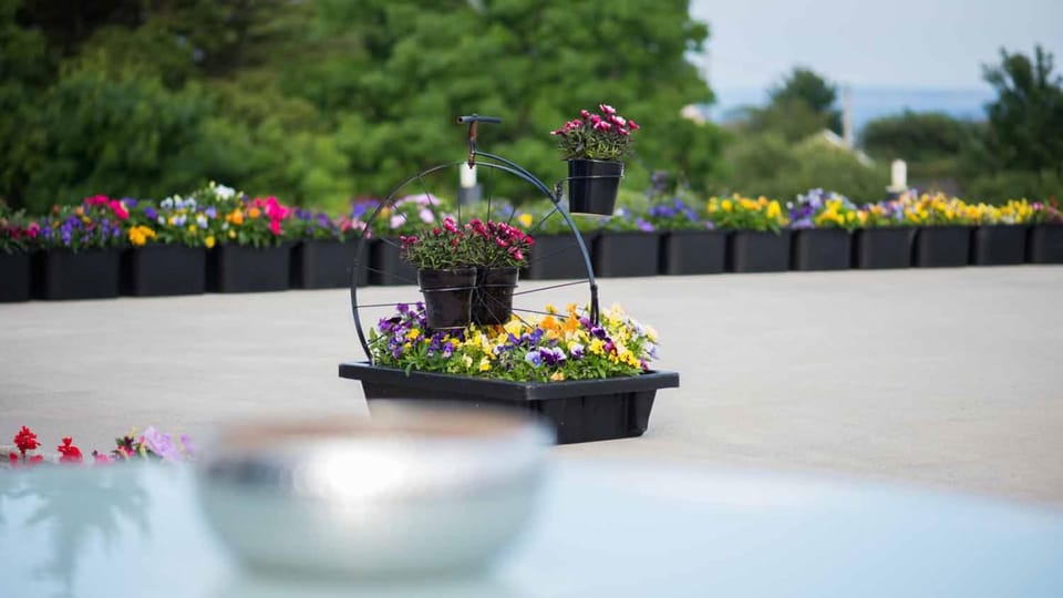 Garden, Balcony/Terrace