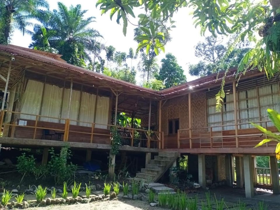 Property building, Day
