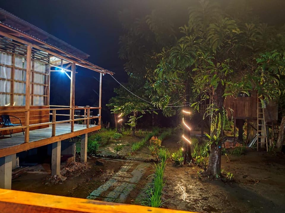 Night, Garden, Garden, Garden view
