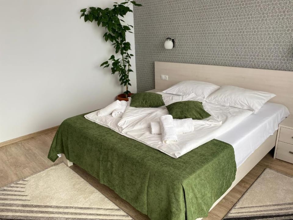 Pensiunea Amso Bed and Breakfast in Sibiu