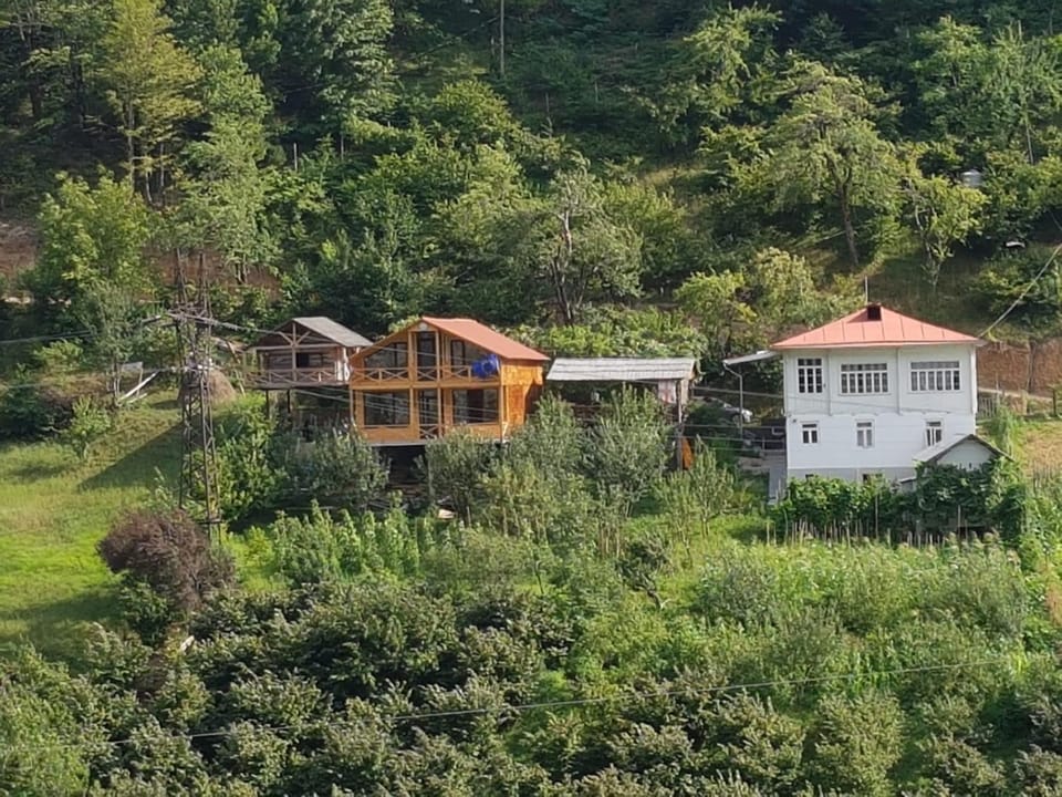 Property building, Neighbourhood, Bird's eye view
