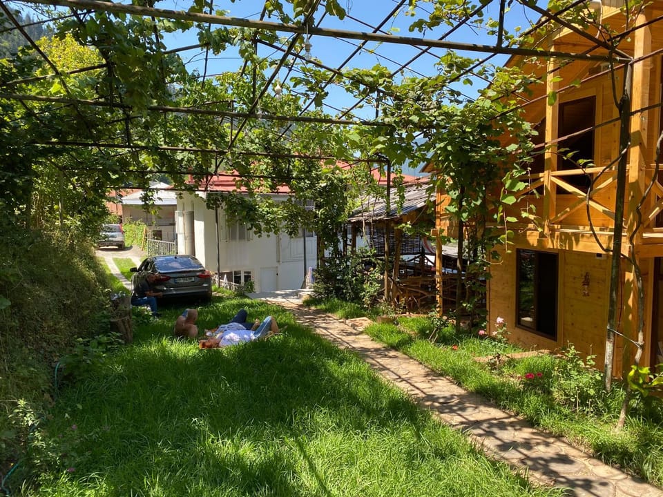 Property building, Facade/entrance, Garden