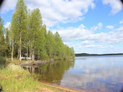 Lake view