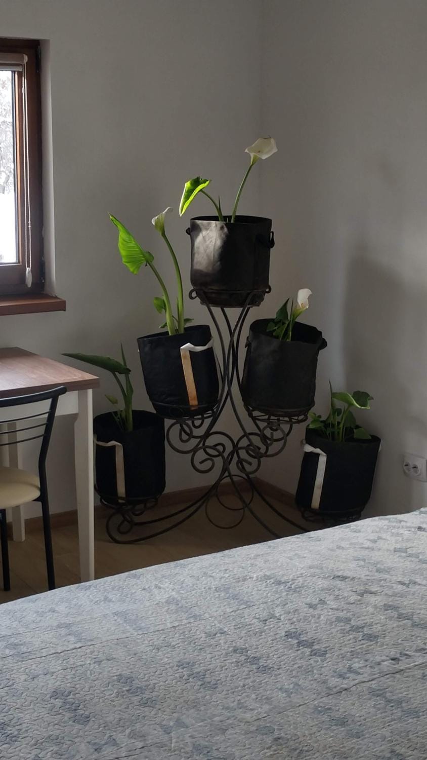 Photo of the whole room, Seating area