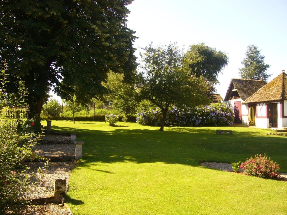 Day, Summer, Garden view
