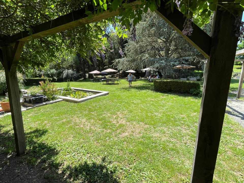Natural landscape, Garden