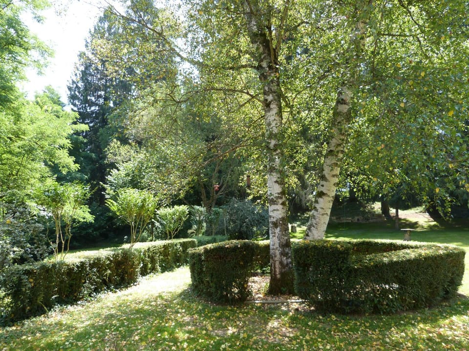Garden view