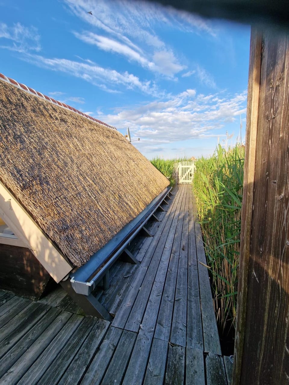 Seehütte Pfahlbau-Neusiedlersee - Waterfront 1 Chalet in Hungary