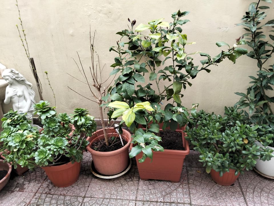 loft indipendente con giardino a Roma Tor vergata Apartment in Rome