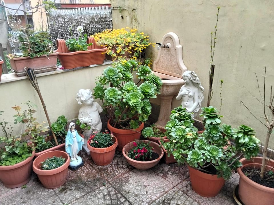 loft indipendente con giardino a Roma Tor vergata Apartment in Rome